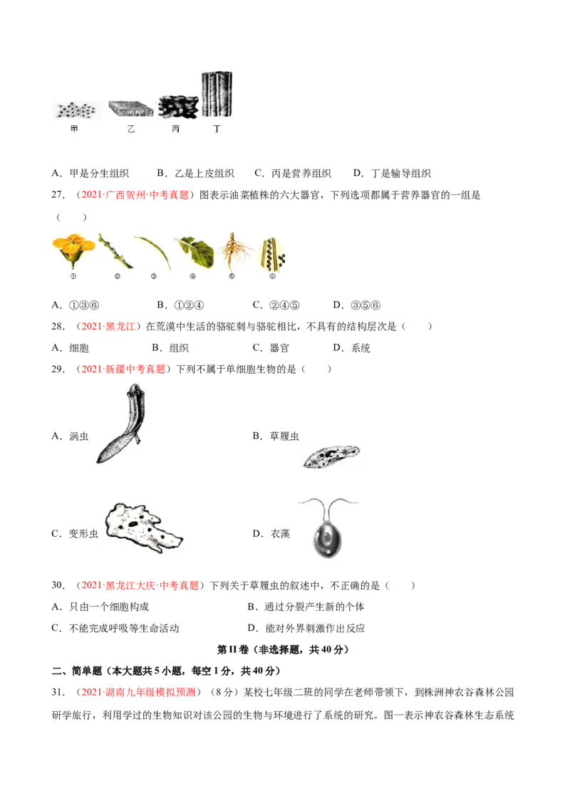 期中测试（B卷&middot;提升能力）（原卷版）_初中全科电子版试卷练习试题_生物_生物人教版7上练习&mdash;24新版已更新_人教生物7年级上期中试卷07份