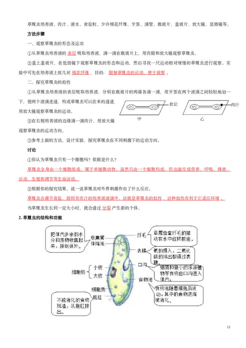 人教版7年级上册生物知识总结（教师版）27页2024秋新版教材_初中全科电子版试卷练习试题_生物_生物人教版7上练习&mdash;24新版已更新_人教生物七年级上知识汇总