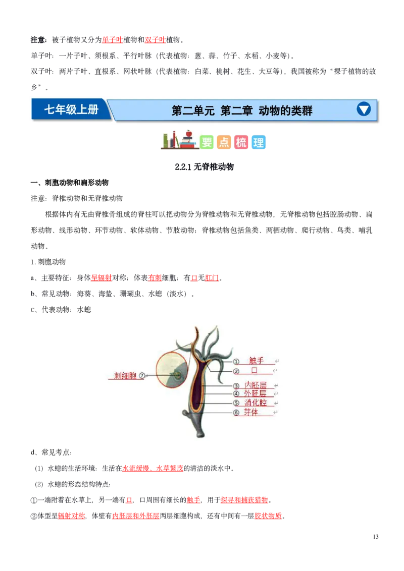 人教版7年级上册生物知识总结（教师版）27页2024秋新版教材_初中全科电子版试卷练习试题_生物_生物人教版7上练习&mdash;24新版已更新_人教生物七年级上知识汇总