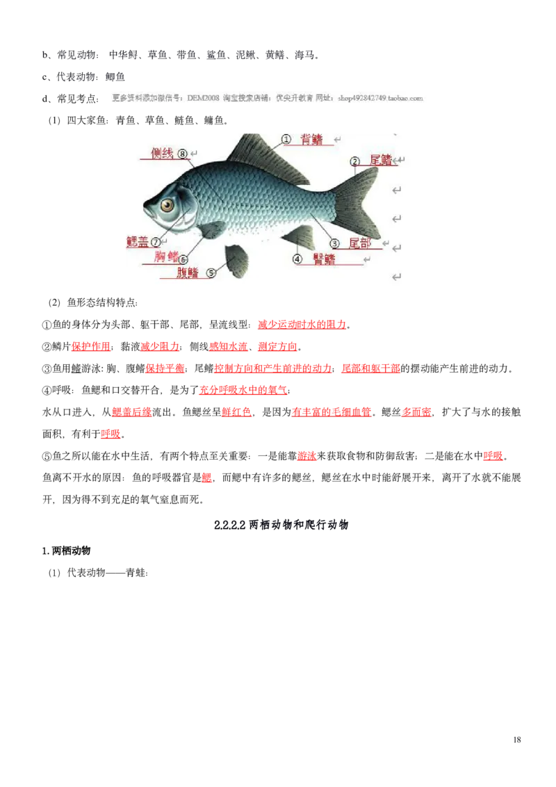 人教版7年级上册生物知识总结（教师版）27页2024秋新版教材_初中全科电子版试卷练习试题_生物_生物人教版7上练习&mdash;24新版已更新_人教生物七年级上知识汇总