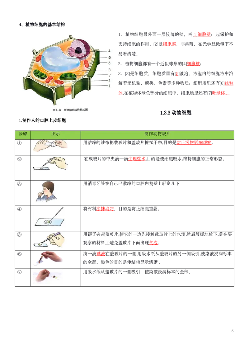人教版7年级上册生物知识总结（教师版）27页2024秋新版教材_初中全科电子版试卷练习试题_生物_生物人教版7上练习&mdash;24新版已更新_人教生物七年级上知识汇总