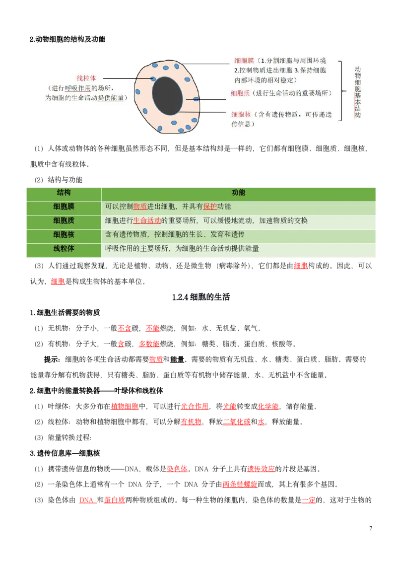 人教版7年级上册生物知识总结（教师版）27页2024秋新版教材_初中全科电子版试卷练习试题_生物_生物人教版7上练习&mdash;24新版已更新_人教生物七年级上知识汇总