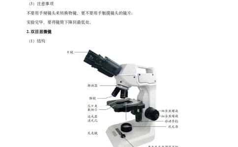 人教版7年级上册生物知识总结（教师版）27页2024秋新版教材_初中全科电子版试卷练习试题_生物_生物人教版7上练习&mdash;24新版已更新_人教生物七年级上知识汇总