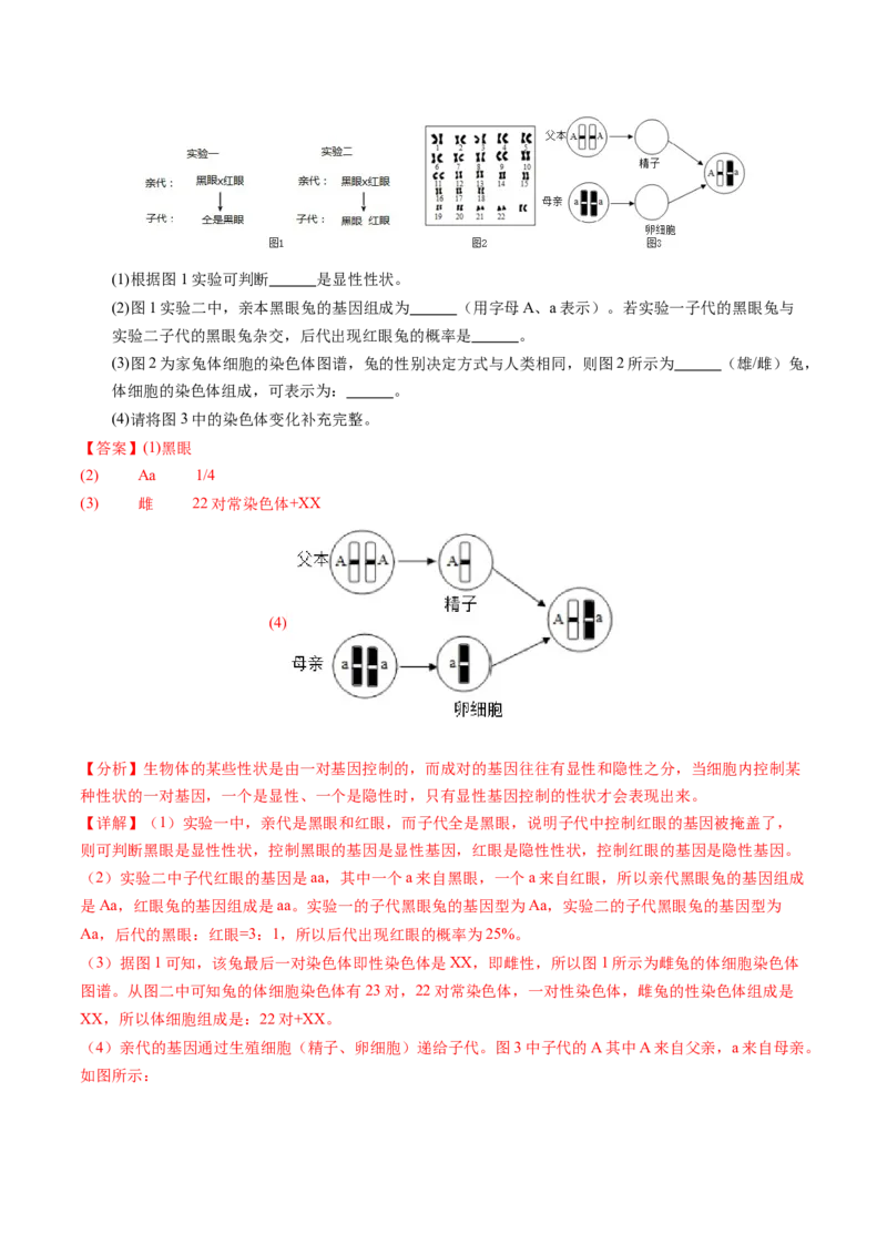 生物（甘肃卷）（全解全析）_初中全科电子版试卷练习试题_生物_2024中考模拟题生物(1)_三模（37套）_生物（甘肃卷）