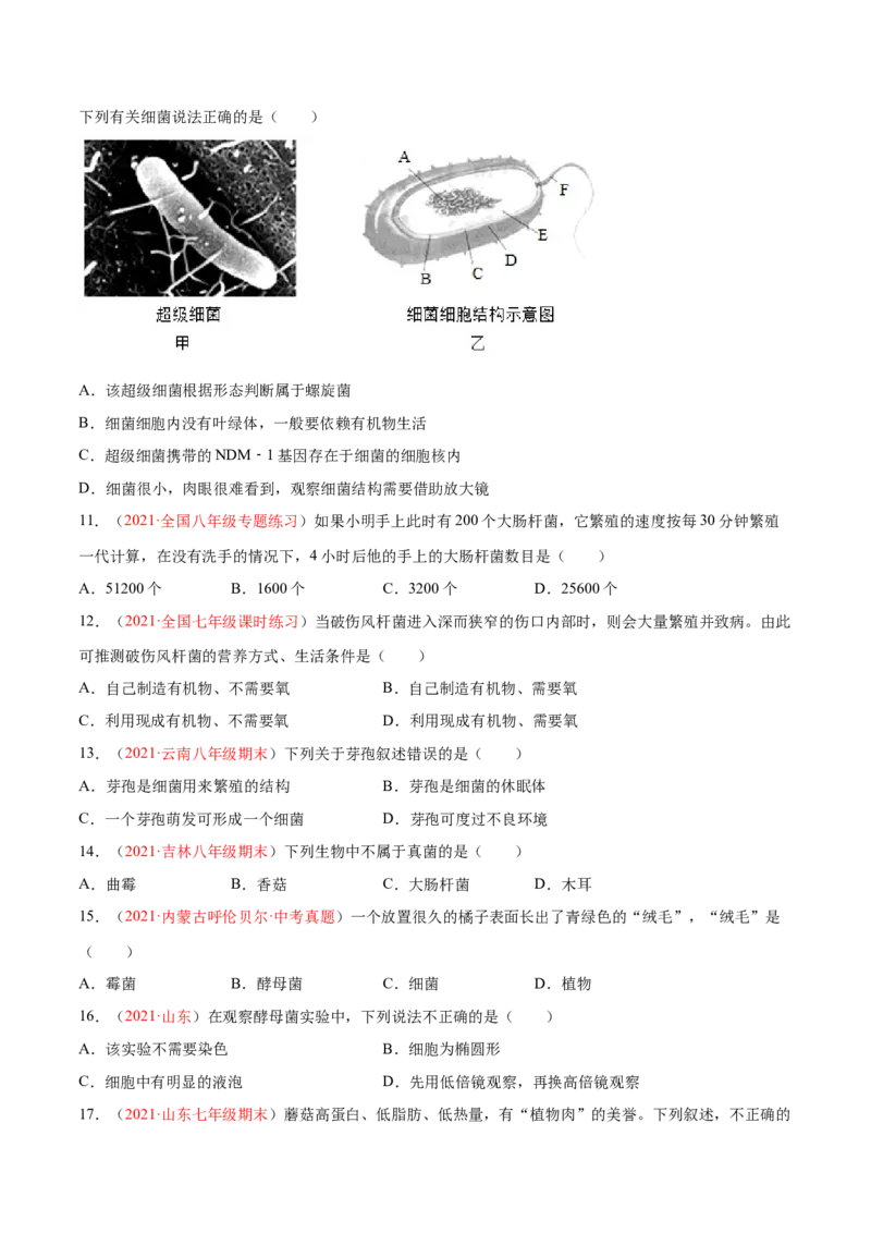 第05单元第04章细菌和真菌、05章病毒单元测试（B卷&middot;提升能力）（原卷版）_初中全科电子版试卷练习试题_生物_生物8上练习_人教生物8年级上单元试卷48份