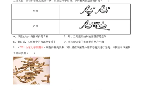 第05单元第04章细菌和真菌、05章病毒单元测试（B卷&middot;提升能力）（原卷版）_初中全科电子版试卷练习试题_生物_生物8上练习_人教生物8年级上单元试卷48份