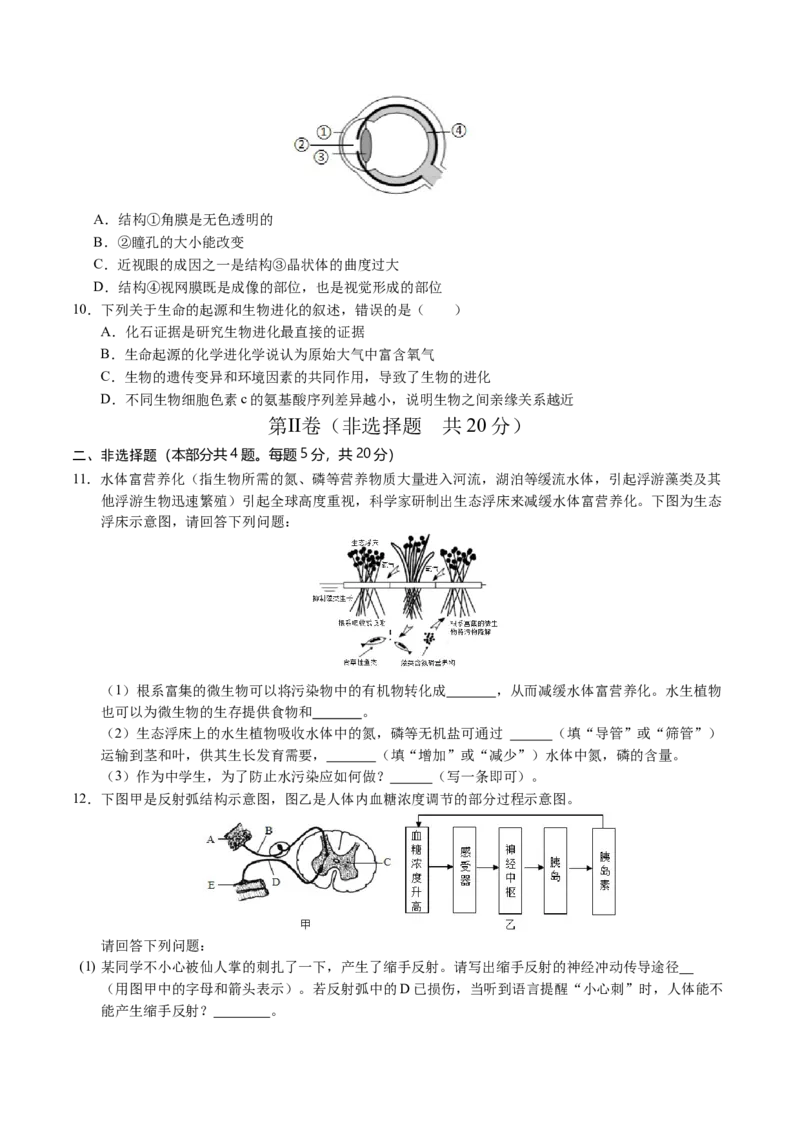 生物（徐州卷）（考试版A4）_初中全科电子版试卷练习试题_生物_2024中考模拟题生物(1)_三模（37套）_生物（徐州卷）