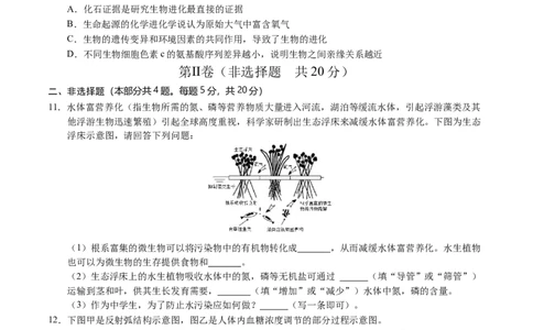 生物（徐州卷）（考试版A4）_初中全科电子版试卷练习试题_生物_2024中考模拟题生物(1)_三模（37套）_生物（徐州卷）