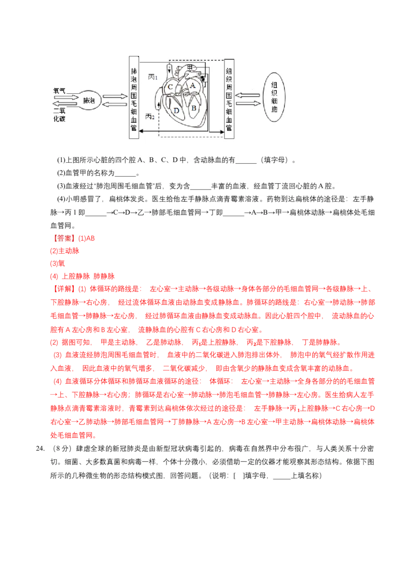 生物（吉林长春卷）（全解全析）_初中全科电子版试卷练习试题_生物_2024中考模拟题生物(1)_一模_生物（吉林长春卷）-2024年中考第一次模拟考试