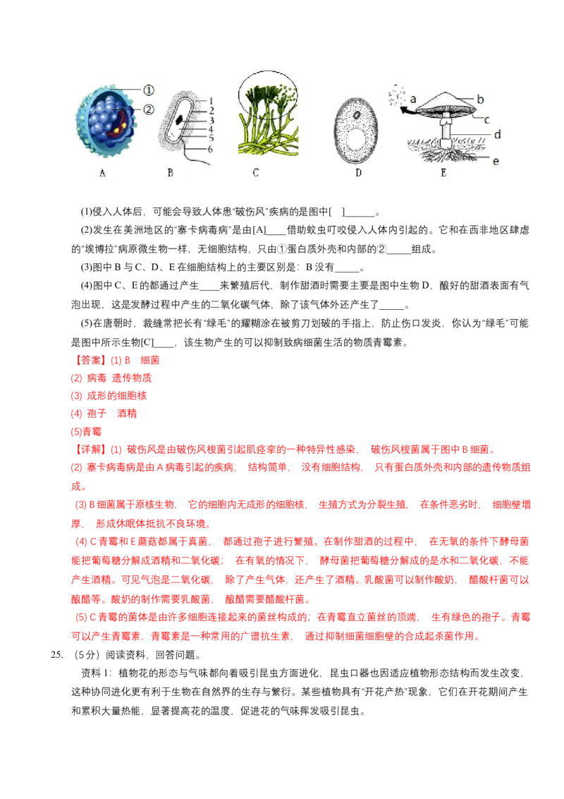生物（吉林长春卷）（全解全析）_初中全科电子版试卷练习试题_生物_2024中考模拟题生物(1)_一模_生物（吉林长春卷）-2024年中考第一次模拟考试