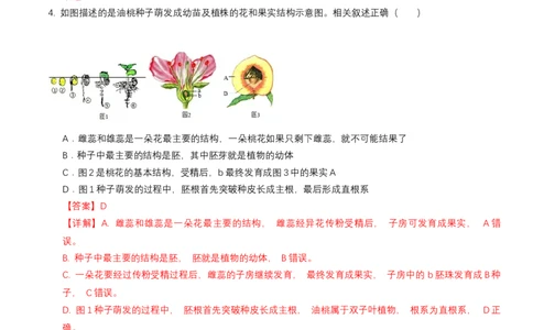 生物（吉林长春卷）（全解全析）_初中全科电子版试卷练习试题_生物_2024中考模拟题生物(1)_一模_生物（吉林长春卷）-2024年中考第一次模拟考试