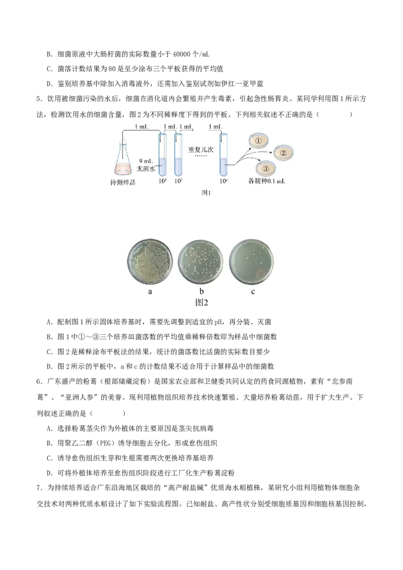 专题八生物技术与工程（原卷版）_2025年新高考资料_二轮复习_01高考语文等多个文件_上好课2025年高考生物二轮复习讲练测（新高考通用）