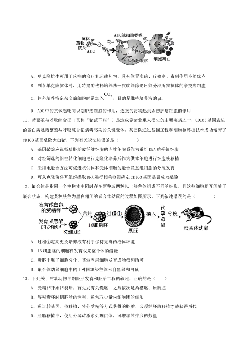 专题八生物技术与工程（原卷版）_2025年新高考资料_二轮复习_01高考语文等多个文件_上好课2025年高考生物二轮复习讲练测（新高考通用）