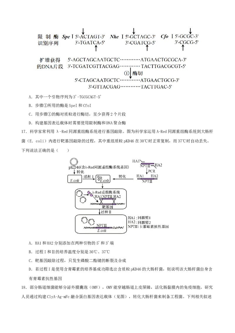 专题八生物技术与工程（原卷版）_2025年新高考资料_二轮复习_01高考语文等多个文件_上好课2025年高考生物二轮复习讲练测（新高考通用）