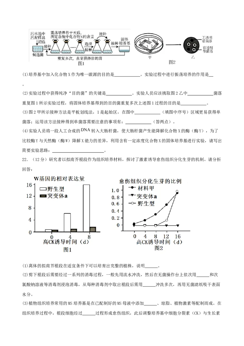 专题八生物技术与工程（原卷版）_2025年新高考资料_二轮复习_01高考语文等多个文件_上好课2025年高考生物二轮复习讲练测（新高考通用）