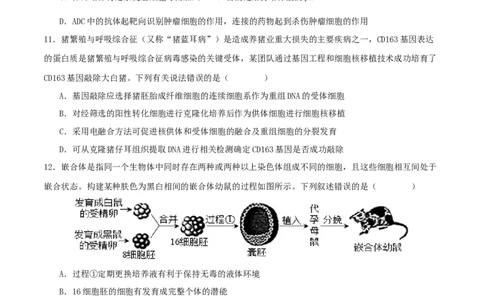 专题八生物技术与工程（原卷版）_2025年新高考资料_二轮复习_01高考语文等多个文件_上好课2025年高考生物二轮复习讲练测（新高考通用）
