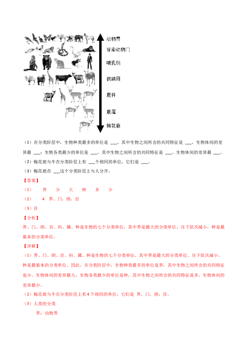 第06单元生物的多样性及其保护单元测试（A卷&middot;夯实基础）（解析版）_初中全科电子版试卷练习试题_生物_生物8上练习_人教生物8年级上单元试卷48份