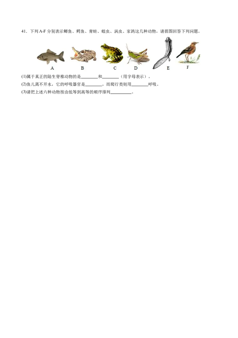 生物（扬州卷）（考试版A4）_初中全科电子版试卷练习试题_生物_2024中考模拟题生物(1)_一模_生物（扬州卷）-2024年中考第一次模拟考试