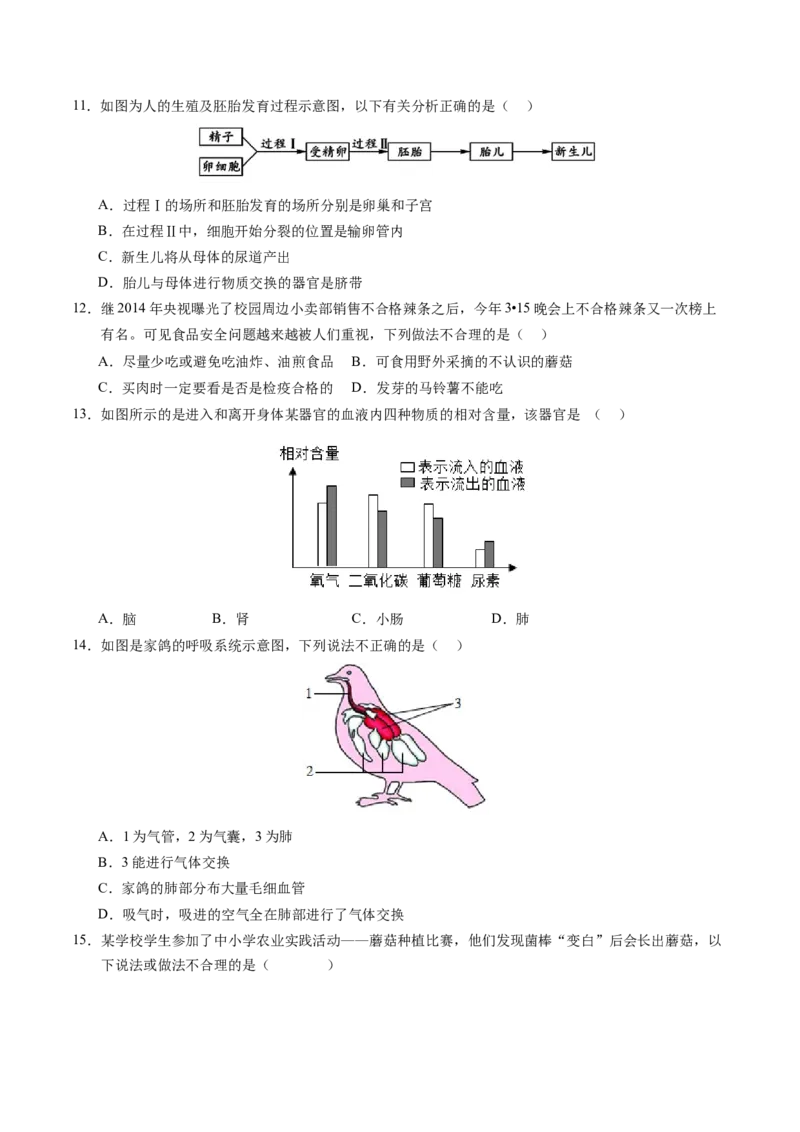 生物（扬州卷）（考试版A4）_初中全科电子版试卷练习试题_生物_2024中考模拟题生物(1)_一模_生物（扬州卷）-2024年中考第一次模拟考试