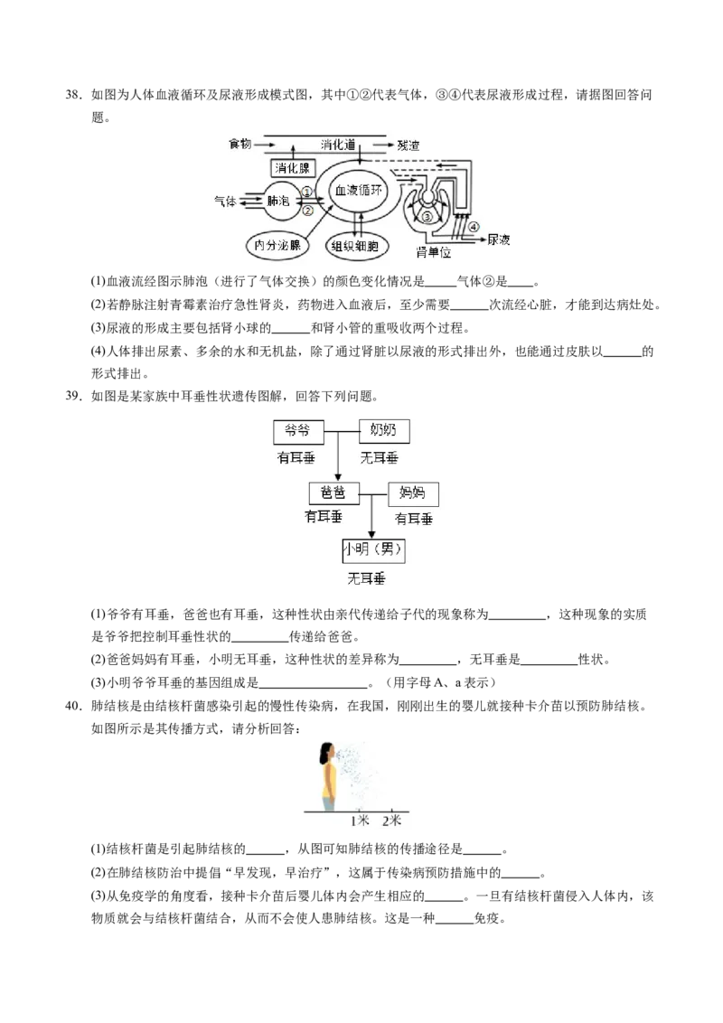 生物（扬州卷）（考试版A4）_初中全科电子版试卷练习试题_生物_2024中考模拟题生物(1)_一模_生物（扬州卷）-2024年中考第一次模拟考试