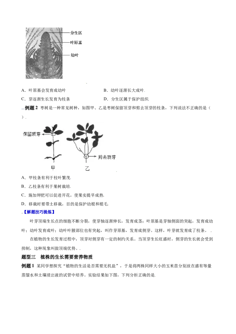 必考点17植株的生长-（人教版）（原卷版）_初中全科电子版试卷练习试题_生物_生物人教版7上练习&mdash;24新版已更新_人教生物7年级上专项练习28份