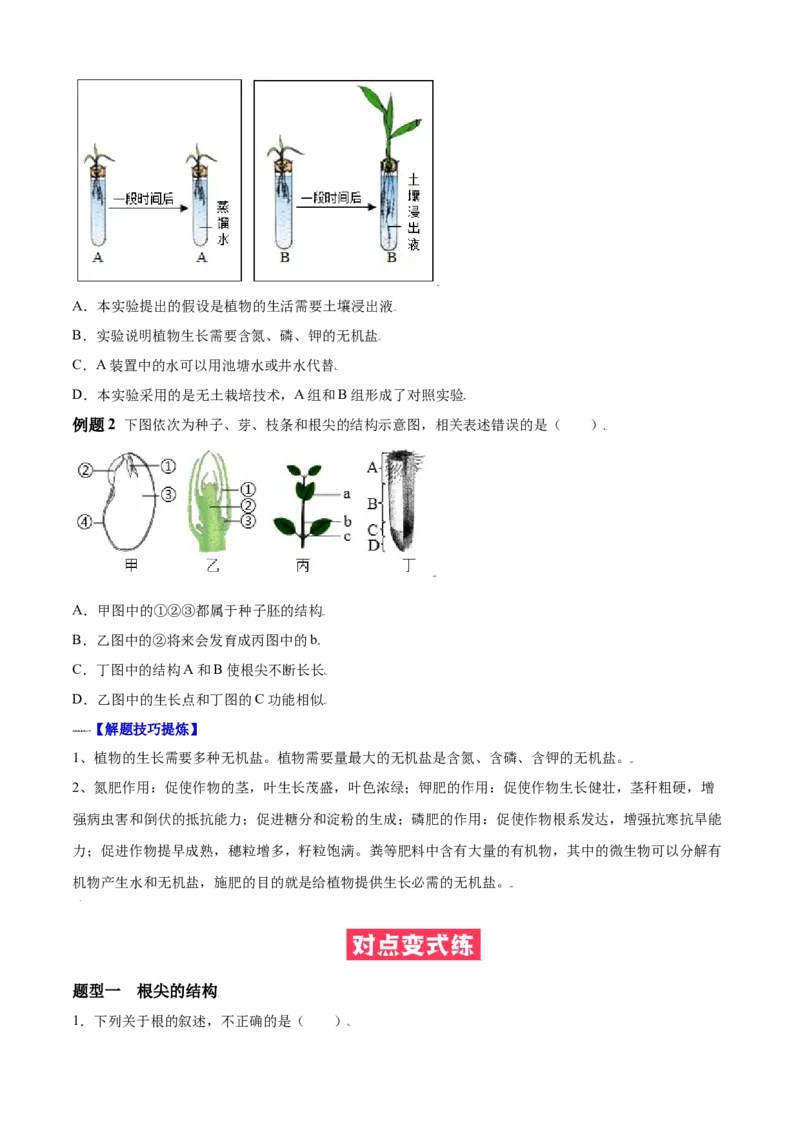 必考点17植株的生长-（人教版）（原卷版）_初中全科电子版试卷练习试题_生物_生物人教版7上练习&mdash;24新版已更新_人教生物7年级上专项练习28份