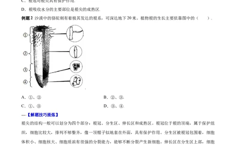 必考点17植株的生长-（人教版）（原卷版）_初中全科电子版试卷练习试题_生物_生物人教版7上练习&mdash;24新版已更新_人教生物7年级上专项练习28份