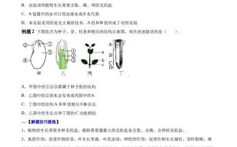 必考点17植株的生长-（人教版）（原卷版）_初中全科电子版试卷练习试题_生物_生物人教版7上练习&mdash;24新版已更新_人教生物7年级上专项练习28份