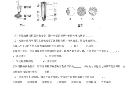必考点17植株的生长-（人教版）（原卷版）_初中全科电子版试卷练习试题_生物_生物人教版7上练习&mdash;24新版已更新_人教生物7年级上专项练习28份