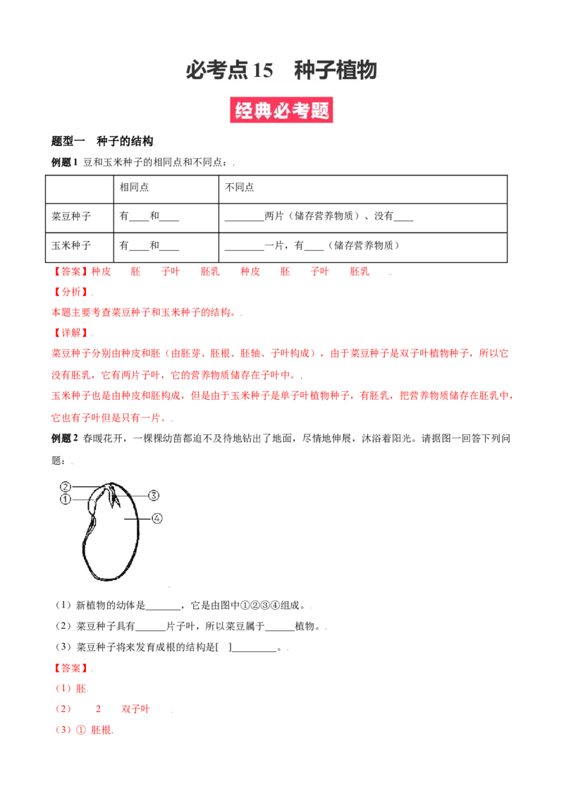 必考点15种子植物-（人教版）（解析版）_初中全科电子版试卷练习试题_生物_生物人教版7上练习&mdash;24新版已更新_人教生物7年级上专项练习28份