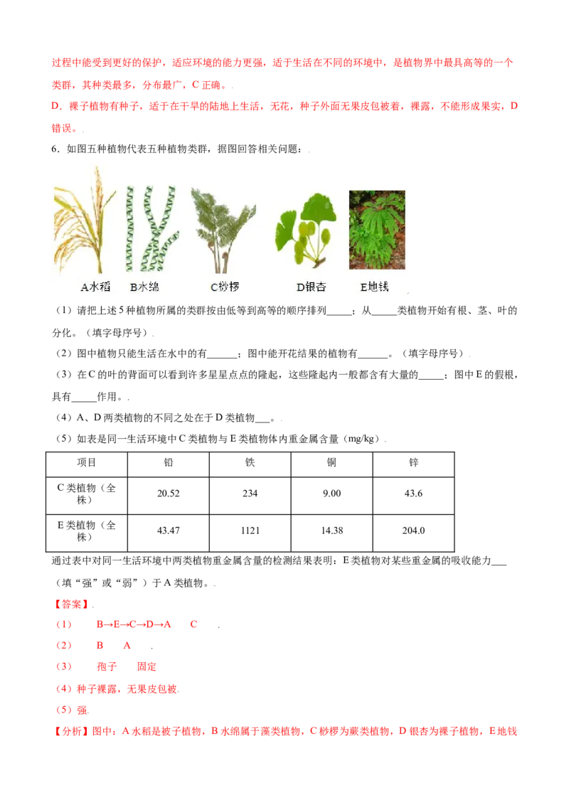 必考点15种子植物-（人教版）（解析版）_初中全科电子版试卷练习试题_生物_生物人教版7上练习&mdash;24新版已更新_人教生物7年级上专项练习28份