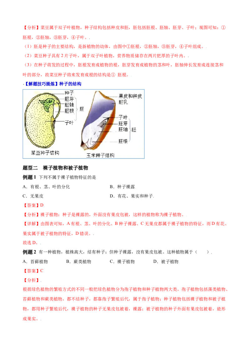 必考点15种子植物-（人教版）（解析版）_初中全科电子版试卷练习试题_生物_生物人教版7上练习&mdash;24新版已更新_人教生物7年级上专项练习28份