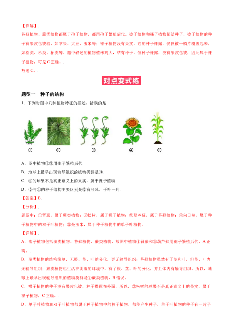 必考点15种子植物-（人教版）（解析版）_初中全科电子版试卷练习试题_生物_生物人教版7上练习&mdash;24新版已更新_人教生物7年级上专项练习28份