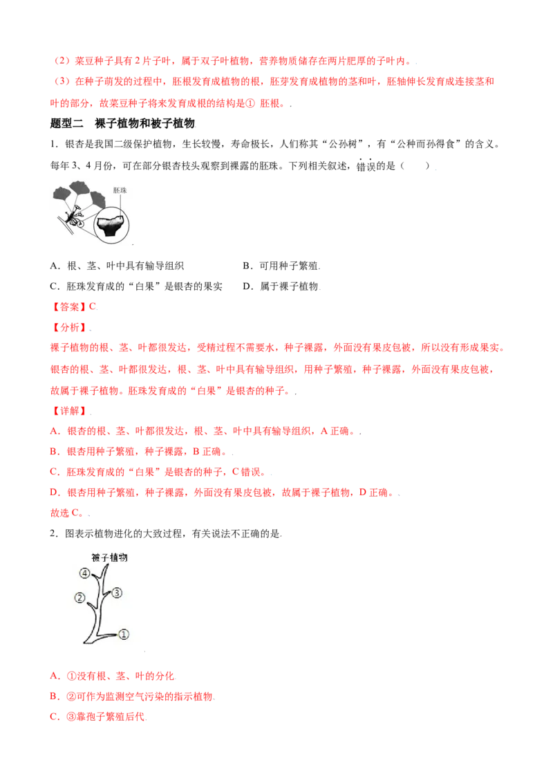 必考点15种子植物-（人教版）（解析版）_初中全科电子版试卷练习试题_生物_生物人教版7上练习&mdash;24新版已更新_人教生物7年级上专项练习28份