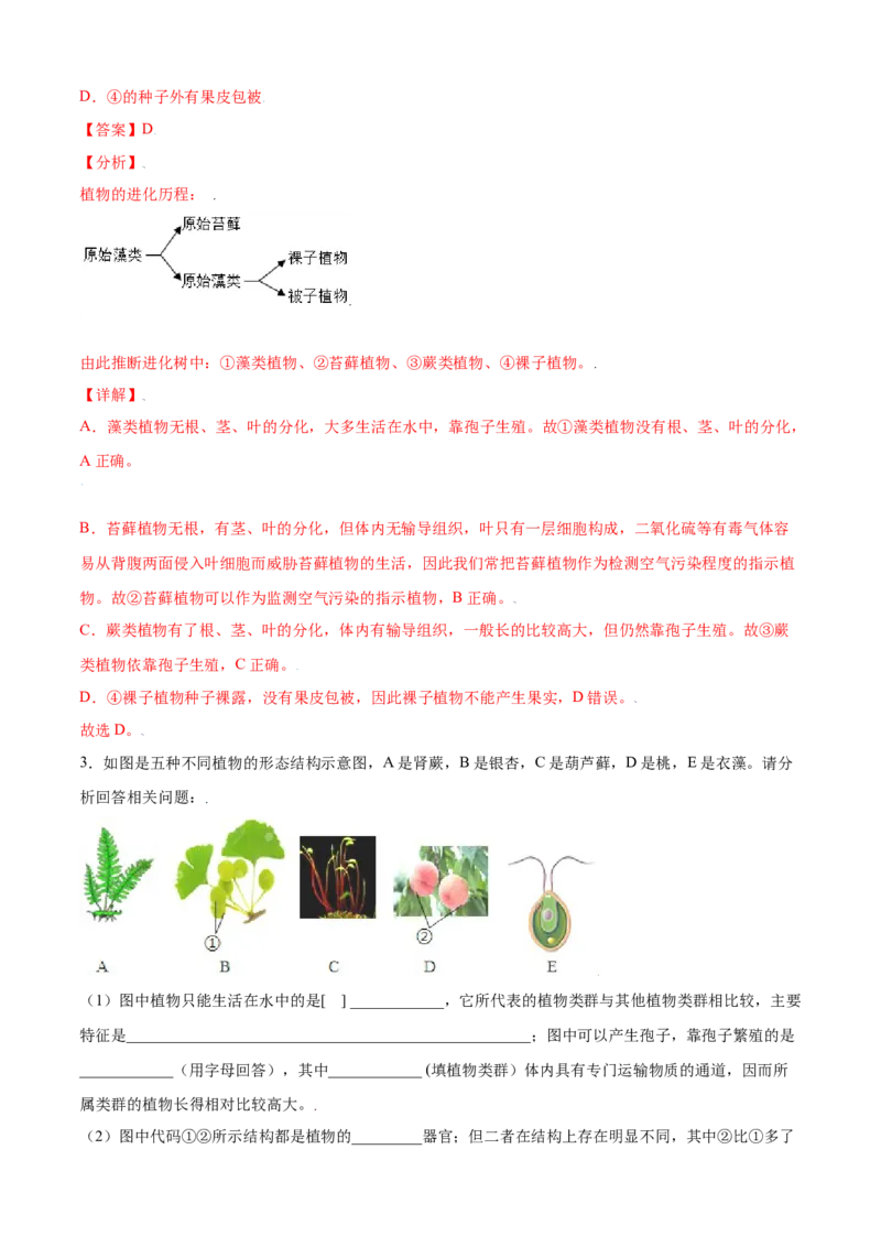 必考点15种子植物-（人教版）（解析版）_初中全科电子版试卷练习试题_生物_生物人教版7上练习&mdash;24新版已更新_人教生物7年级上专项练习28份