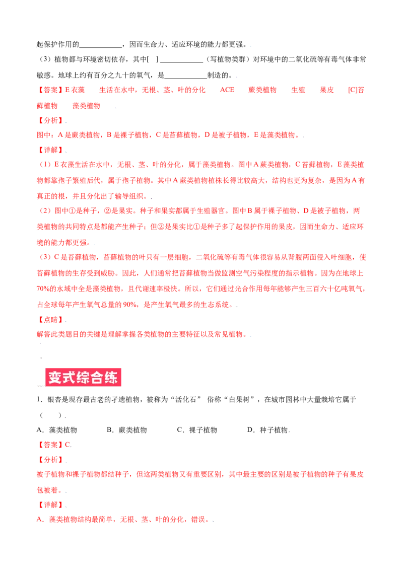 必考点15种子植物-（人教版）（解析版）_初中全科电子版试卷练习试题_生物_生物人教版7上练习&mdash;24新版已更新_人教生物7年级上专项练习28份
