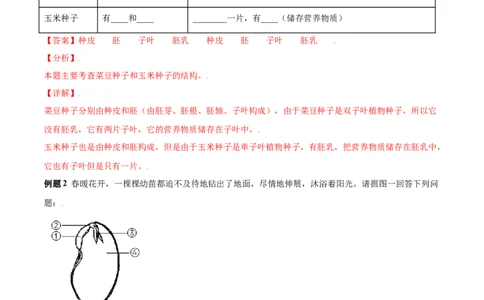 必考点15种子植物-（人教版）（解析版）_初中全科电子版试卷练习试题_生物_生物人教版7上练习&mdash;24新版已更新_人教生物7年级上专项练习28份