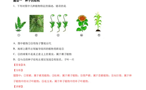 必考点15种子植物-（人教版）（解析版）_初中全科电子版试卷练习试题_生物_生物人教版7上练习&mdash;24新版已更新_人教生物7年级上专项练习28份