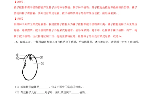 必考点15种子植物-（人教版）（解析版）_初中全科电子版试卷练习试题_生物_生物人教版7上练习&mdash;24新版已更新_人教生物7年级上专项练习28份
