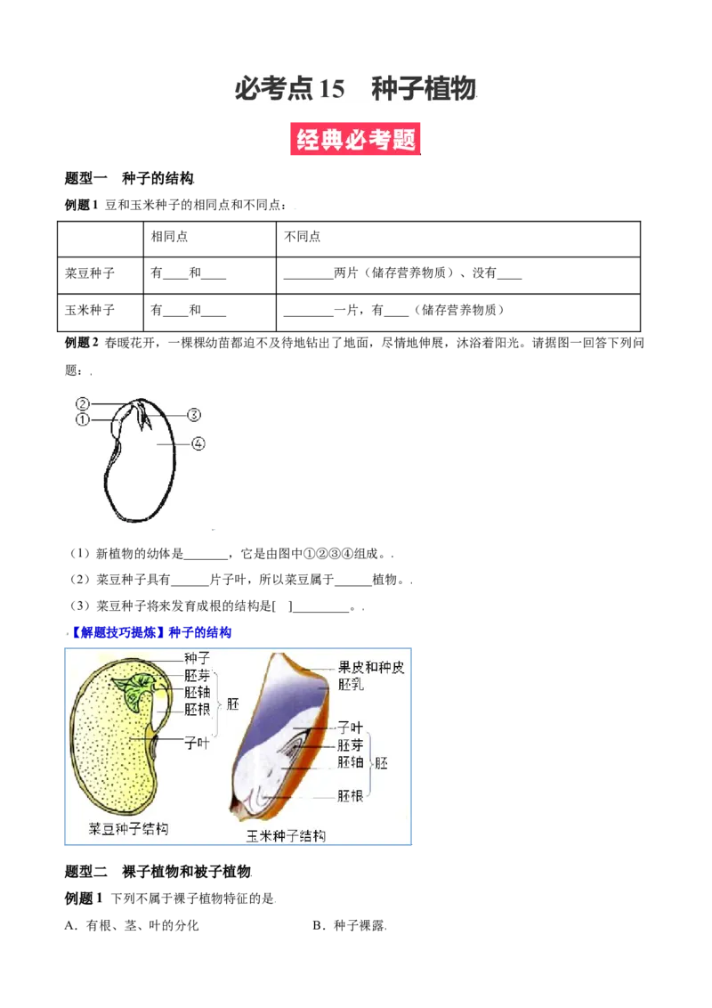 必考点15种子植物-（人教版）（原卷版）_初中全科电子版试卷练习试题_生物_生物人教版7上练习&mdash;24新版已更新_人教生物7年级上专项练习28份