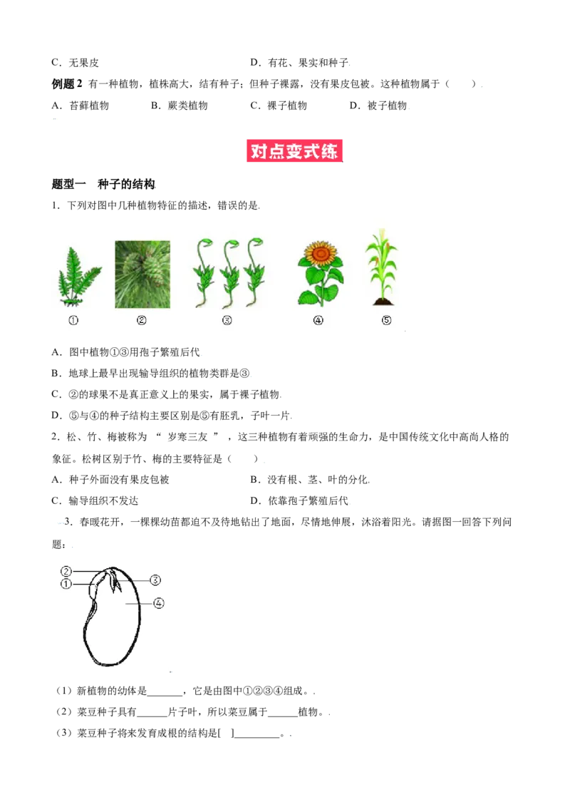 必考点15种子植物-（人教版）（原卷版）_初中全科电子版试卷练习试题_生物_生物人教版7上练习&mdash;24新版已更新_人教生物7年级上专项练习28份