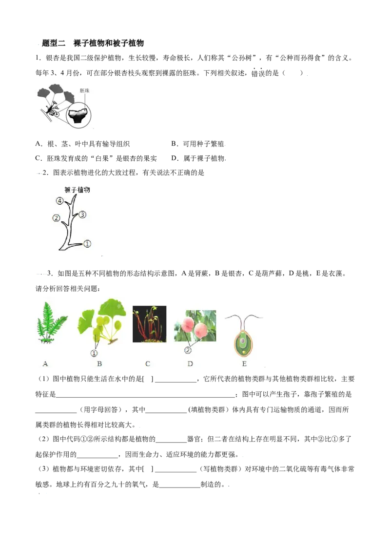 必考点15种子植物-（人教版）（原卷版）_初中全科电子版试卷练习试题_生物_生物人教版7上练习&mdash;24新版已更新_人教生物7年级上专项练习28份
