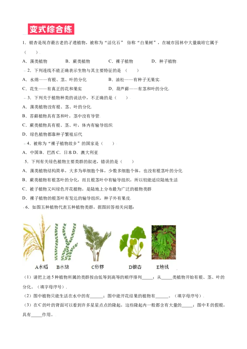 必考点15种子植物-（人教版）（原卷版）_初中全科电子版试卷练习试题_生物_生物人教版7上练习&mdash;24新版已更新_人教生物7年级上专项练习28份