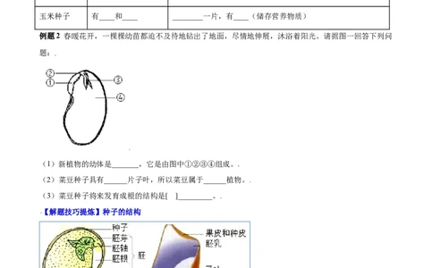 必考点15种子植物-（人教版）（原卷版）_初中全科电子版试卷练习试题_生物_生物人教版7上练习&mdash;24新版已更新_人教生物7年级上专项练习28份