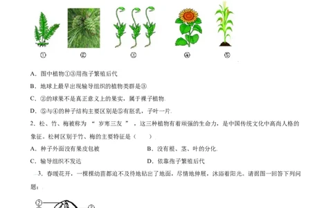 必考点15种子植物-（人教版）（原卷版）_初中全科电子版试卷练习试题_生物_生物人教版7上练习&mdash;24新版已更新_人教生物7年级上专项练习28份