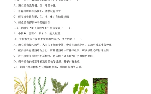必考点15种子植物-（人教版）（原卷版）_初中全科电子版试卷练习试题_生物_生物人教版7上练习&mdash;24新版已更新_人教生物7年级上专项练习28份