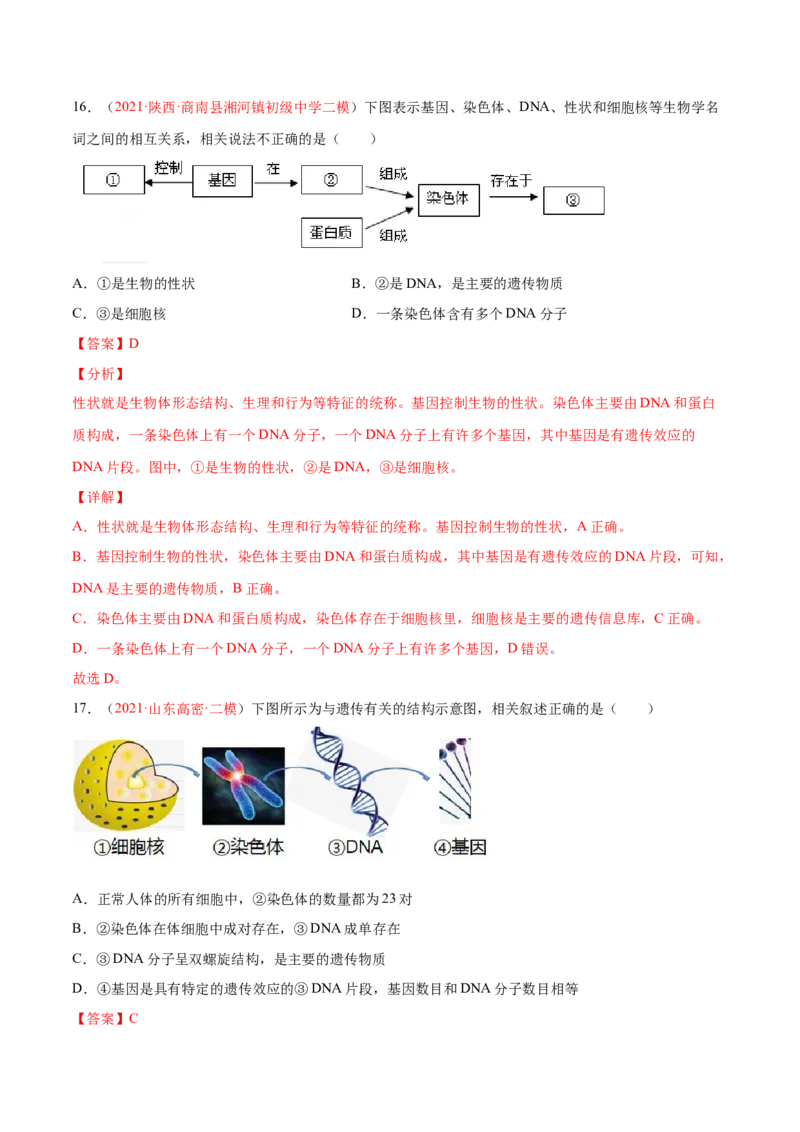 第07单元第02章生物的遗传与变异单元测试（B卷&middot;提升能力）（解析版）_初中全科电子版试卷练习试题_生物_生物8下练习_人教生物8年级下单元试卷38份