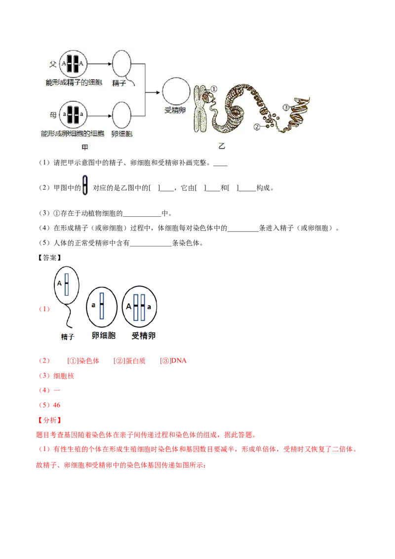 第07单元第02章生物的遗传与变异单元测试（B卷&middot;提升能力）（解析版）_初中全科电子版试卷练习试题_生物_生物8下练习_人教生物8年级下单元试卷38份