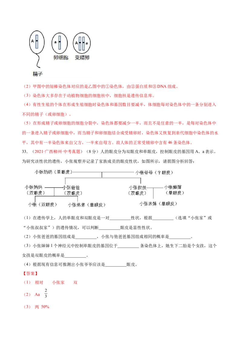 第07单元第02章生物的遗传与变异单元测试（B卷&middot;提升能力）（解析版）_初中全科电子版试卷练习试题_生物_生物8下练习_人教生物8年级下单元试卷38份