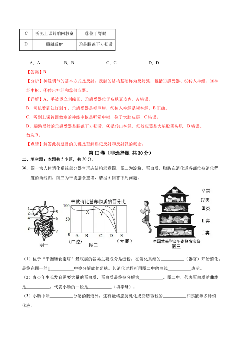 生物（海南卷）（全解全析）_初中全科电子版试卷练习试题_生物_2024中考模拟题生物(1)_一模_生物（海南卷）-2024年中考第一次模拟考试